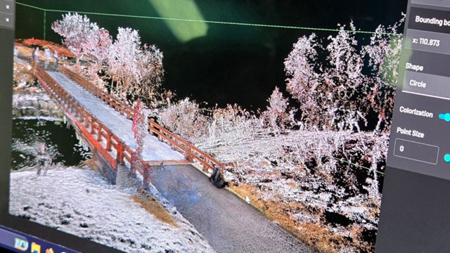 Colorized 3D light detection and ranging (LIDAR) image of bridge taken during support mission. (Photo Credit: Fred Knudsen )